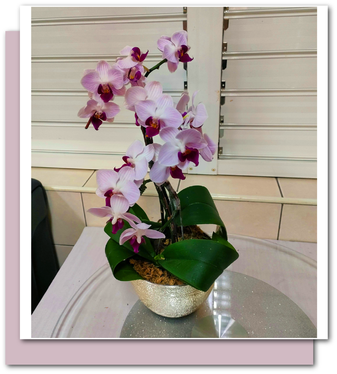 Light pink phalaenopsis orchid arrangement in silver textured ABS floral bowl – lightweight, durable plastic container for weddings, events, retail displays, and elegant home décor.