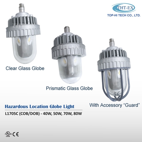 Hazardous Location LED Globe Light - L1705C