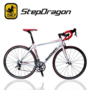 stepdragon mountain bike price