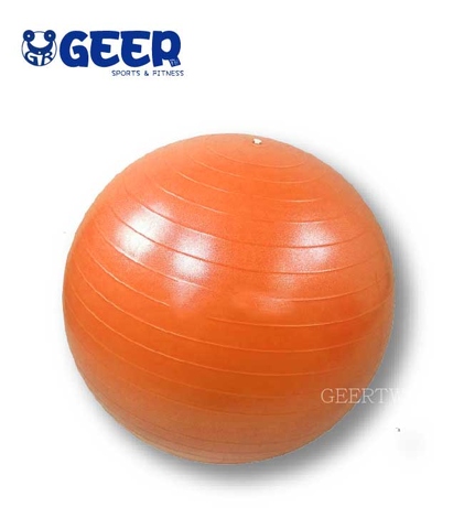 Factory Direct Sales - Anti Burst Fitness Gym Yoga Balls 65cm  |Trade Assurance Supplier in Taiwan