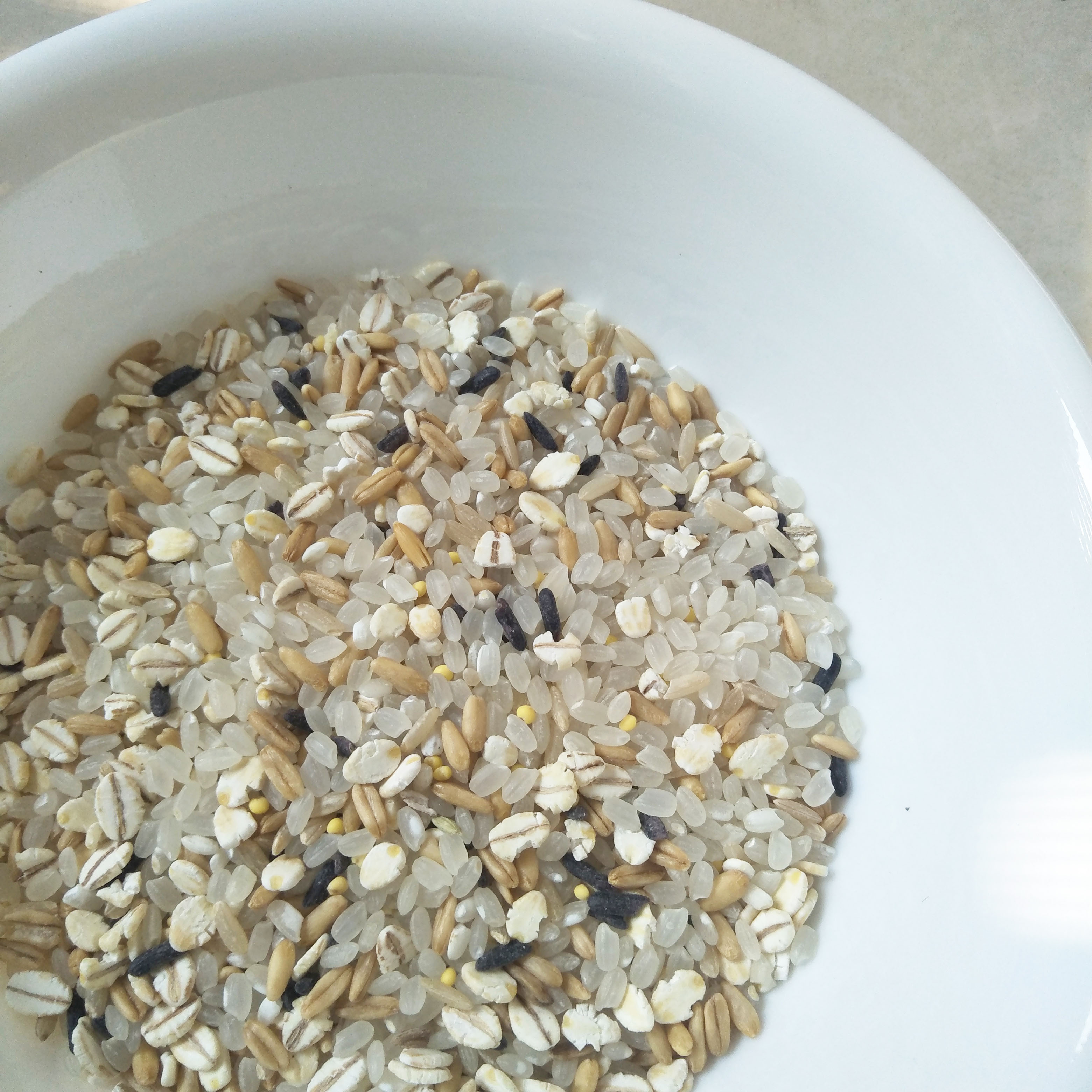 Multigrain Healthy White Rice