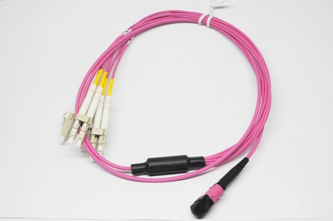 OM4 MM50 8F MPO/PC Female, Optical Cable MPO Patch Cord