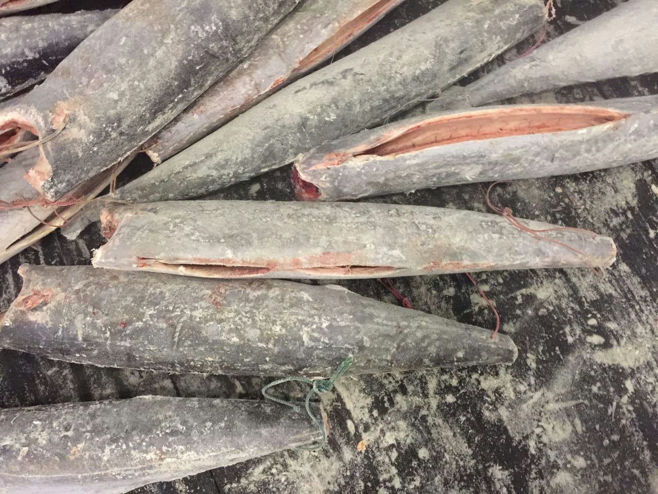 冷冻鲅鱼整條 Dwt Gg 批发 加工 石乔 蓝点马鲛 鰆鱼 马鲛鱼 棘鰆 台湾经贸网