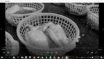 原料スクリーニングRaw material screening原料篩選