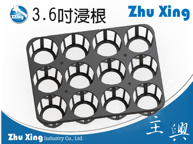 蘭花端盤3.6吋12孔｜育苗浸根專用｜F232-3612
