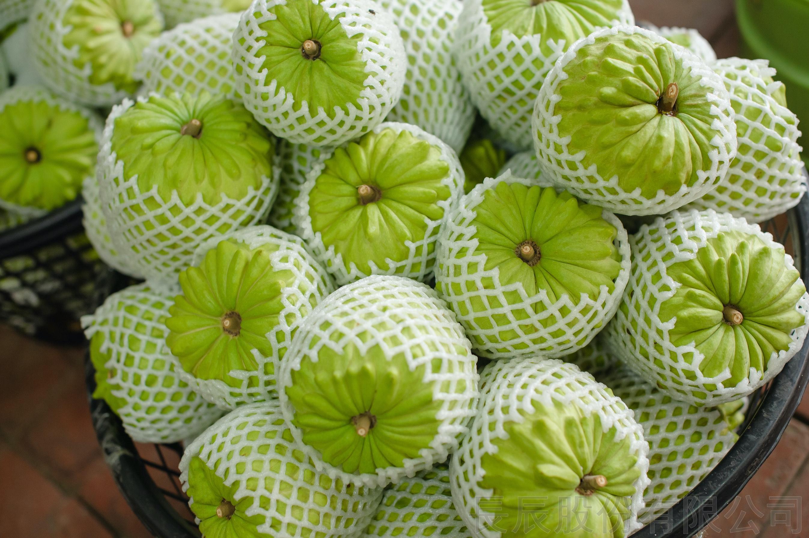 Fresh Sweetsop/ Fresh Pineapple Custard Apple