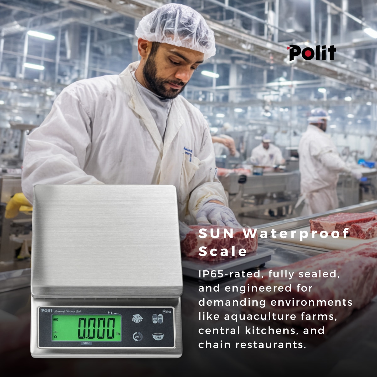 stainless steel waterproof scale