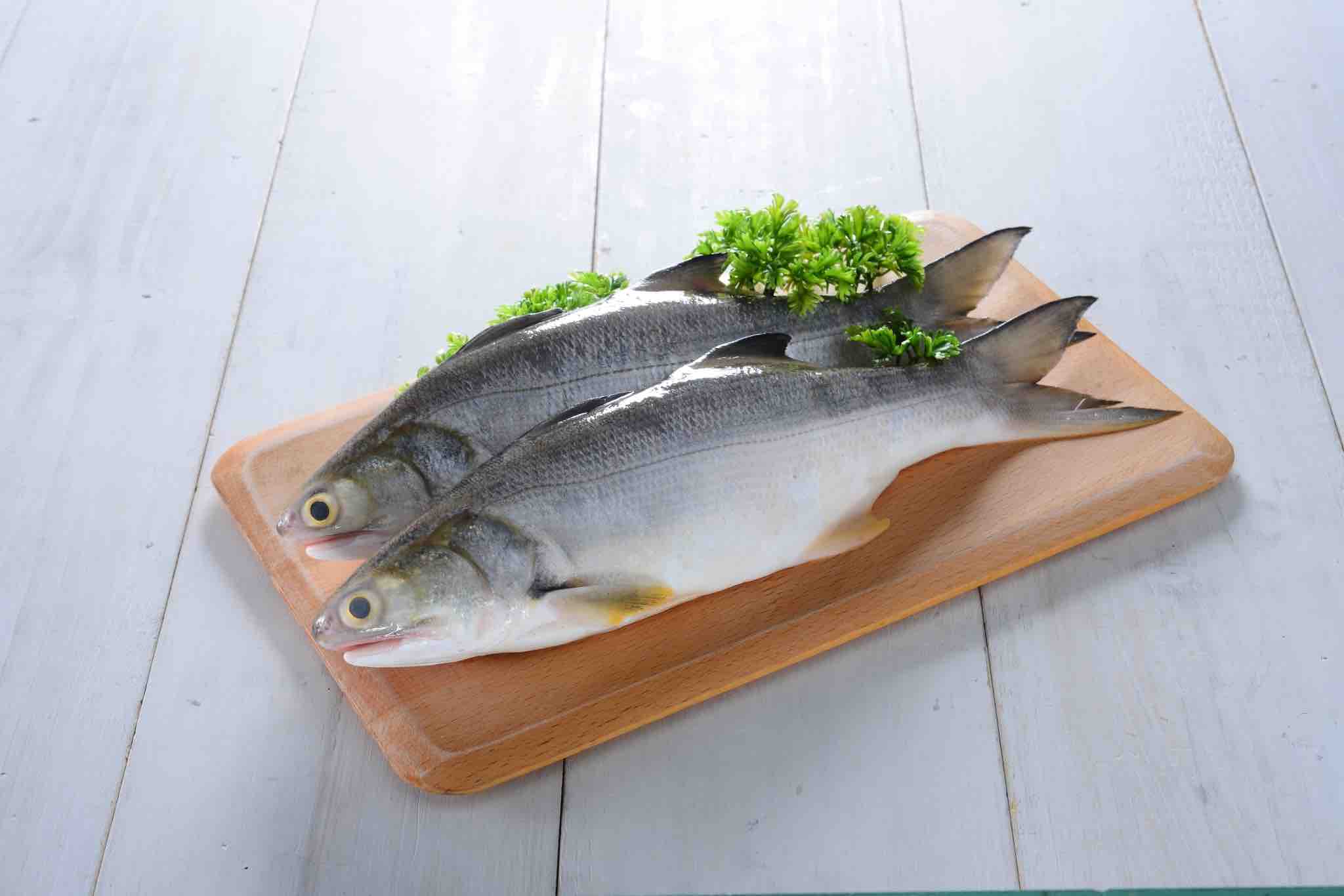 East Asian Fourfinger Threadfin Fish