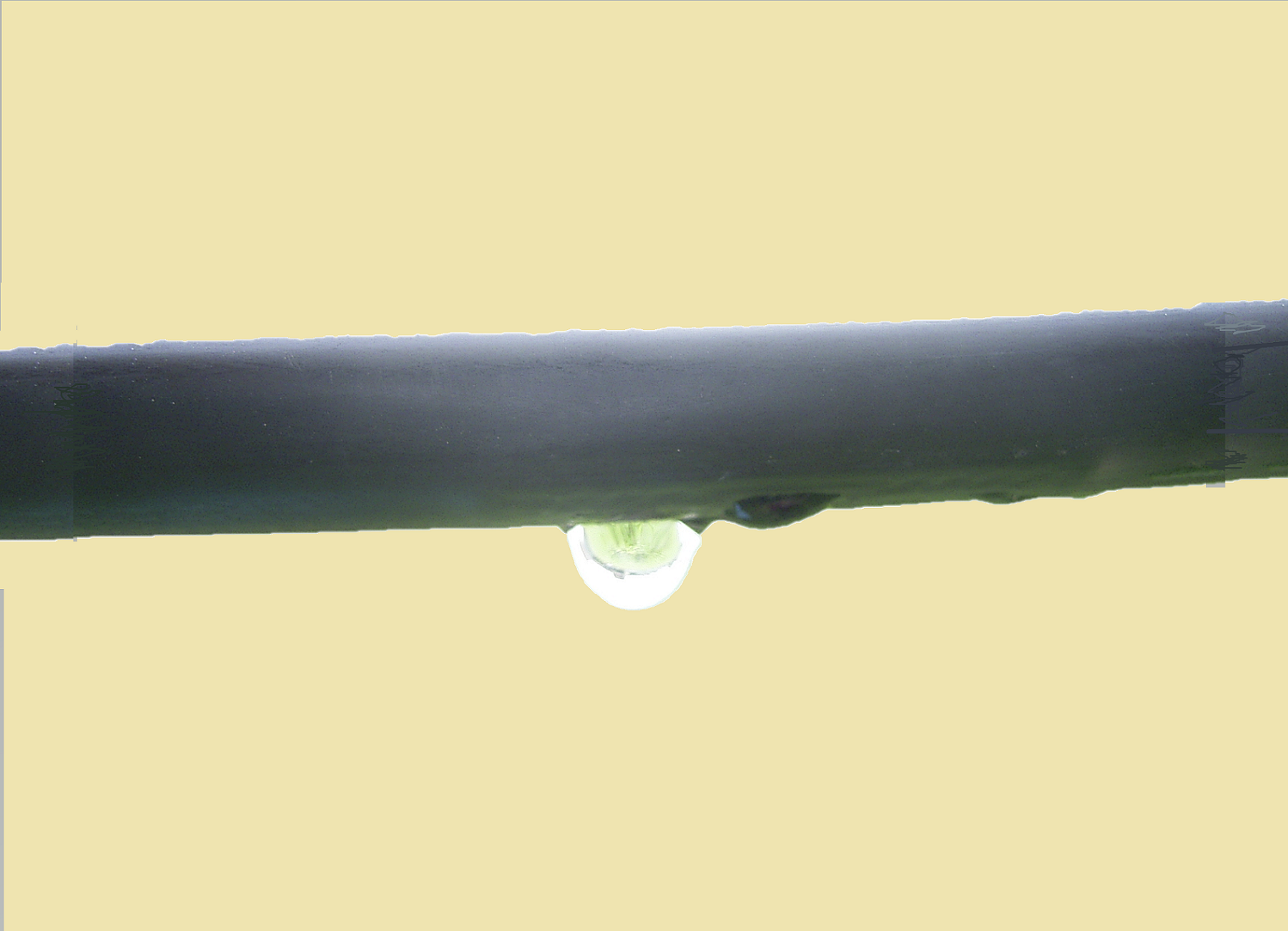 Drip hose layout with drip tape fitting for a drip irrigation system BJ