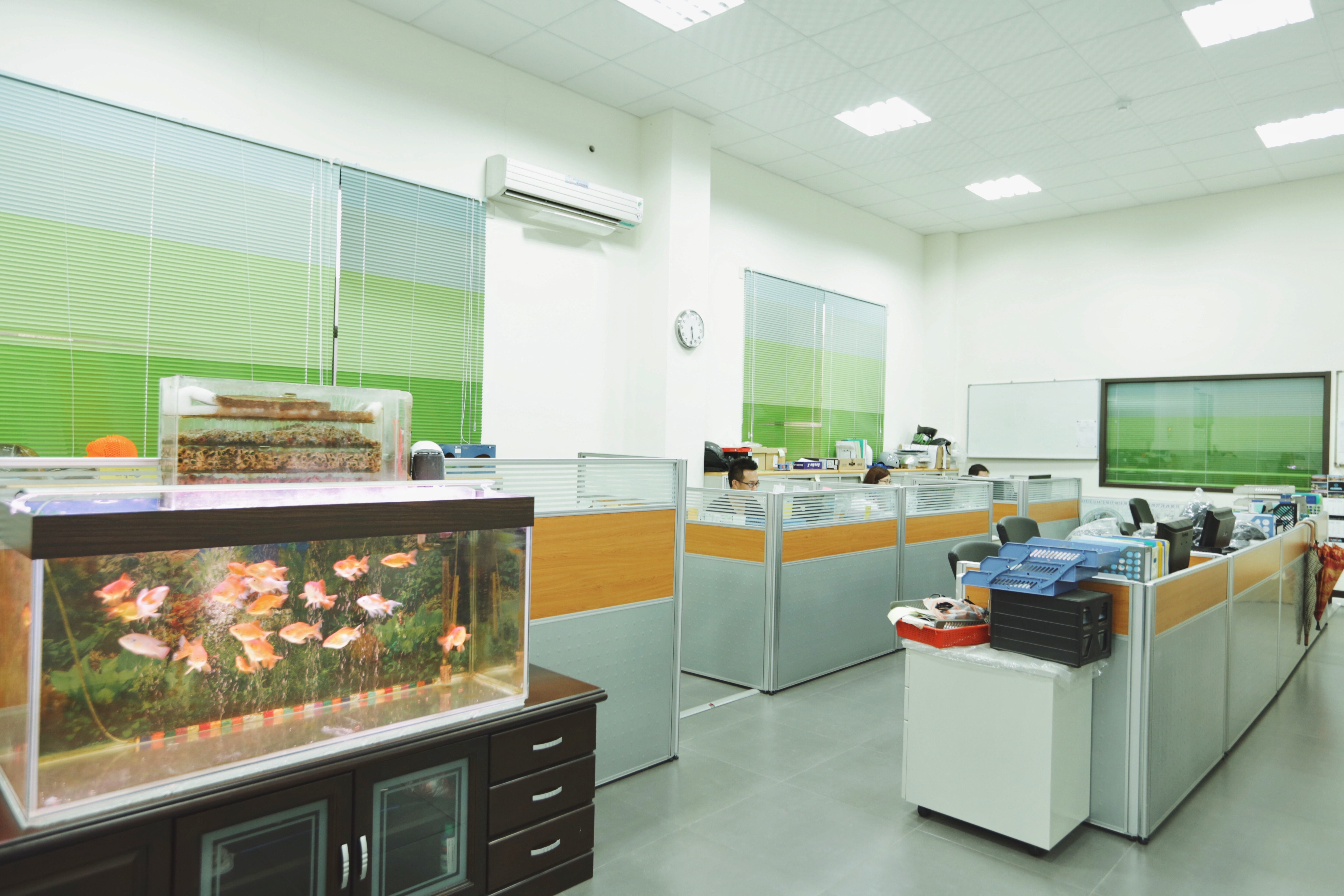 Office