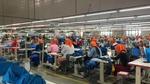 sewing