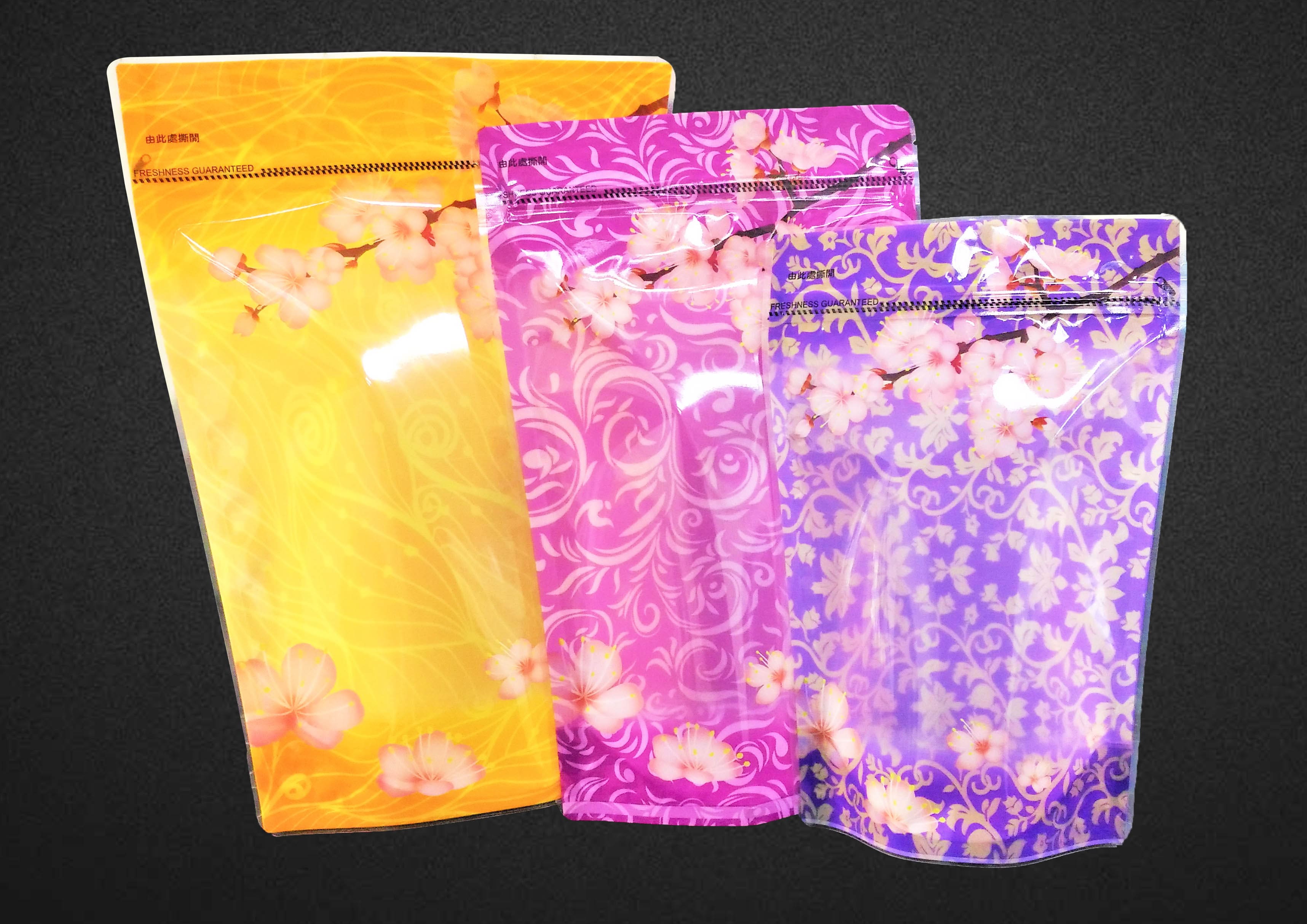 Stand Up Zipper Pouch Bag with Pocket Type Zipper