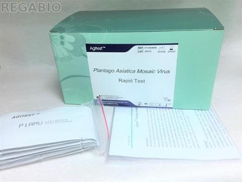 Plantago Asiatic Mosaic Virus Rapid Test Kit (PlAMV)