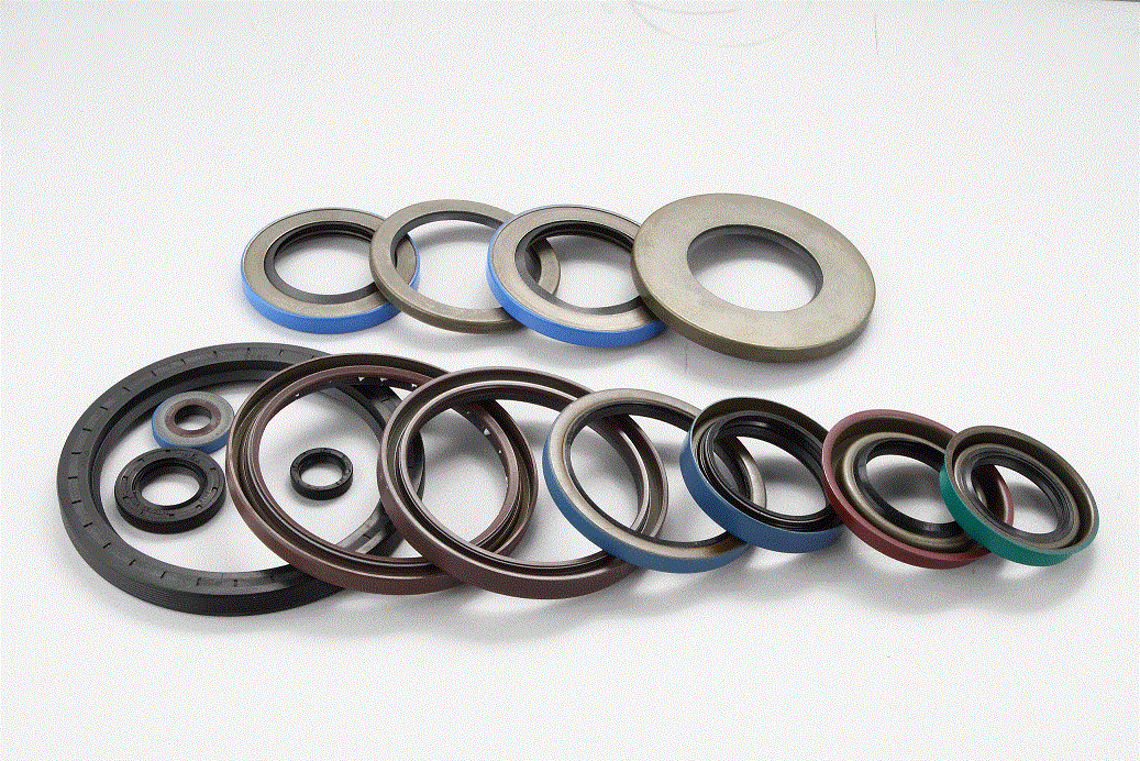 OIL SEAL
