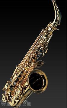 Wongful / Alto Saxophone / professional / Rolled Tone Hole