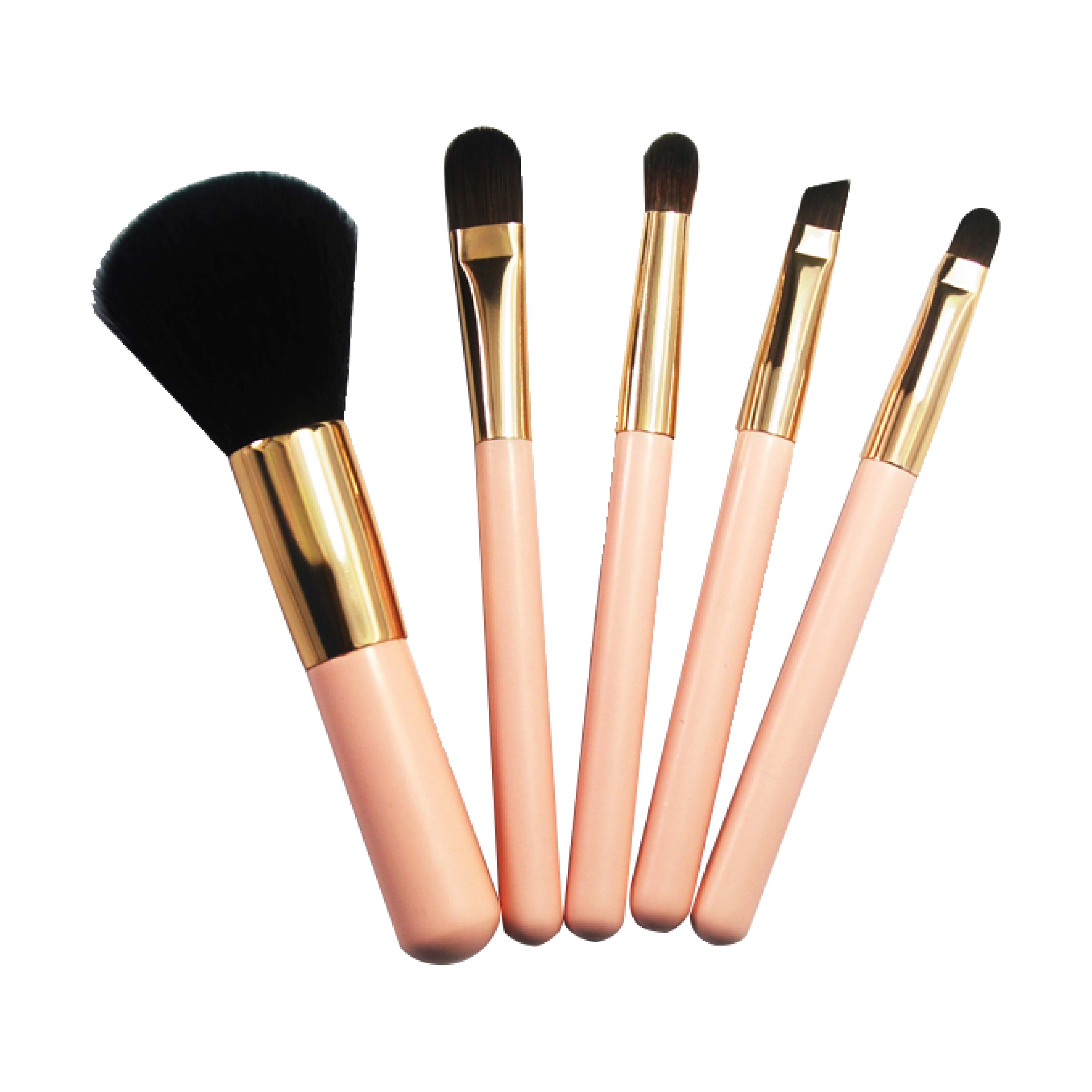 5pcs Cute Makeup Brush Set And Nylon Hair Wooden Handle Cosmetic Brush