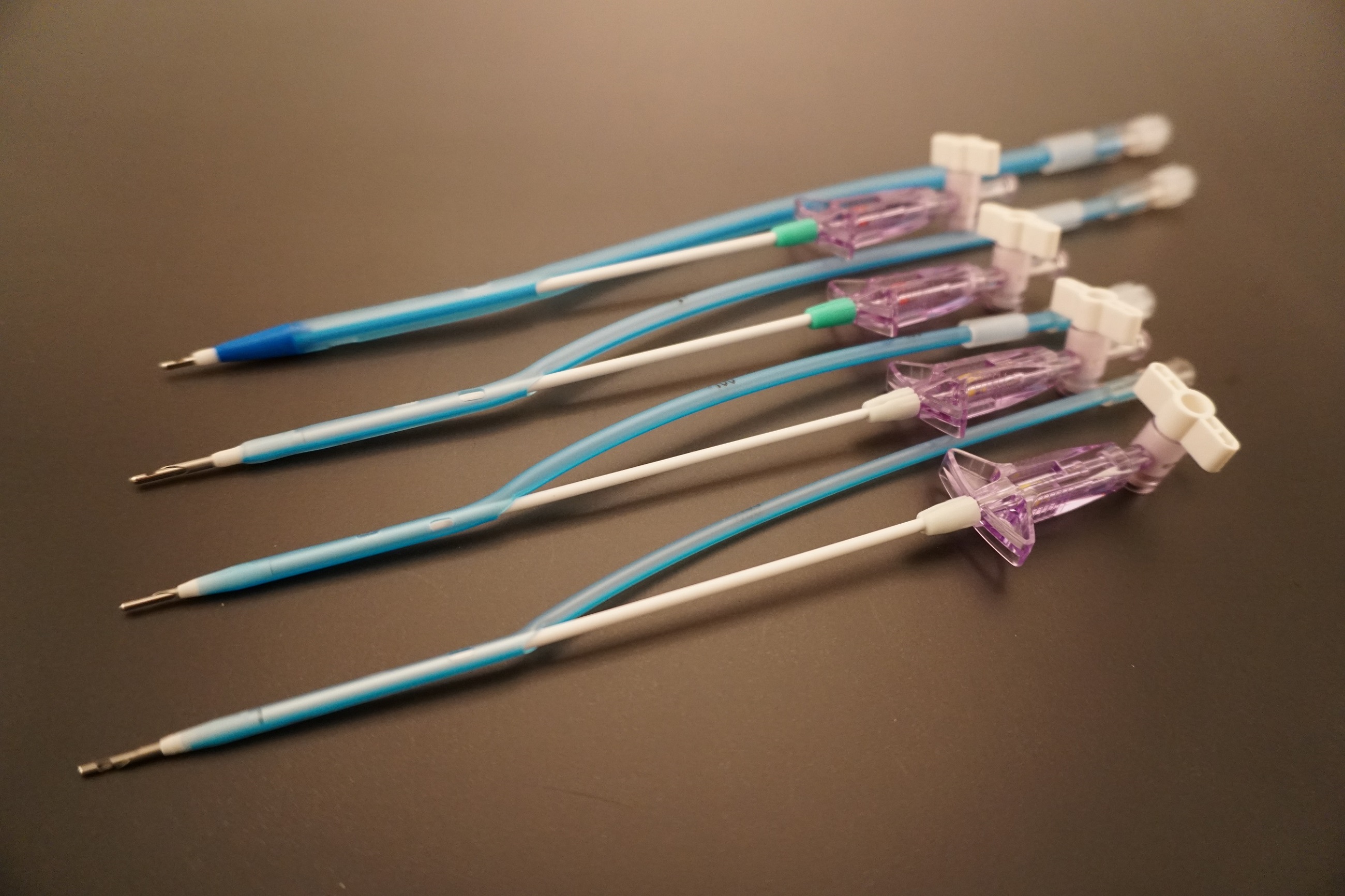 Veterinary Catheter Medical Device for Small Animals