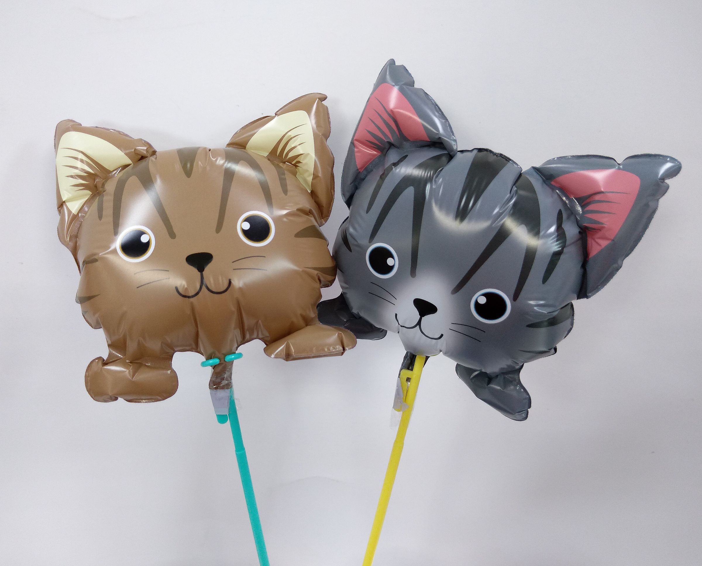 Pet balloon cat balloon DIY balloon fun bouquet