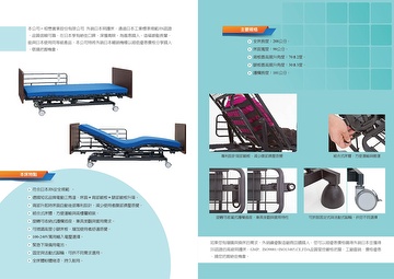 Deluxe Home care bed