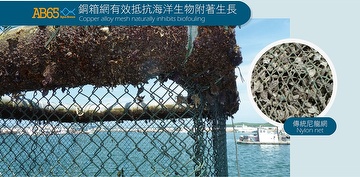 Copper Alloy net pen AB65 in Aquaculture