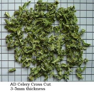 air dried celery, dehydrated celery