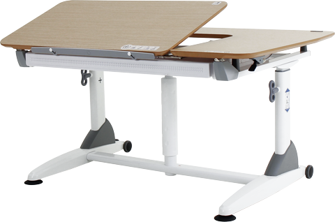 Ergonomic gas-Lift height adjustable desk(width: 117cm)