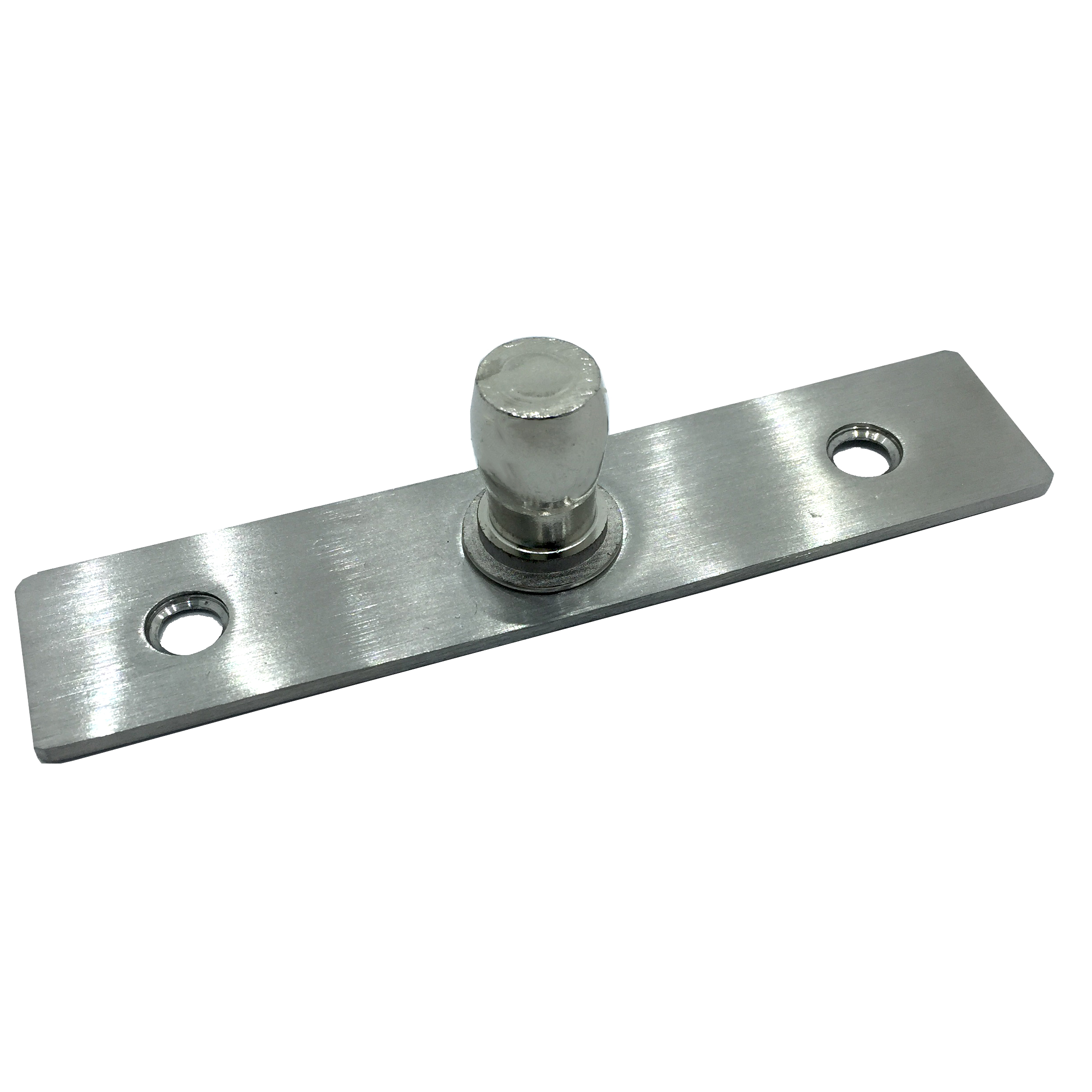 Glass Door Patch With Hydraulic Floor Hinge