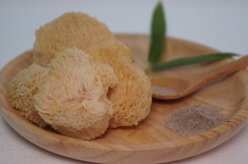 Tianbeiyi mushroom Hericium