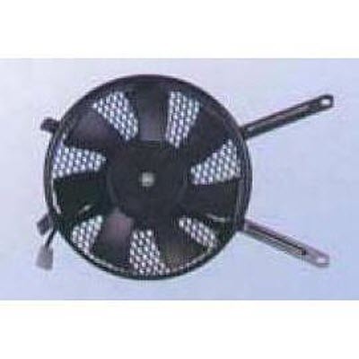 Fan Motor