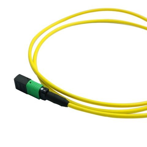 Single Mode OS2 MTP MPO Fiber Array Cable | Taiwantrade.com