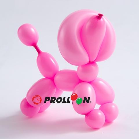 long balloons suppliers