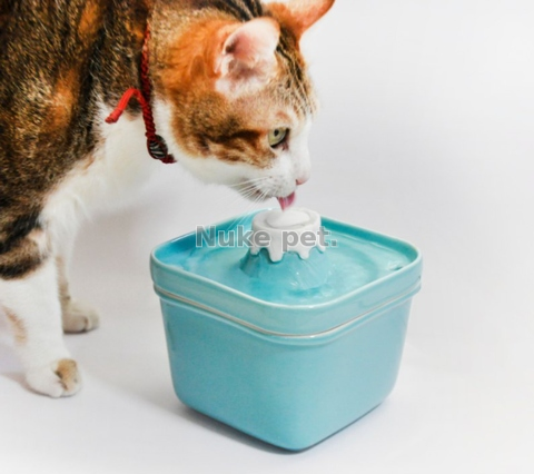 Pet Water Feeder - Taiwan Dog Drinkers suppliers & manufacturers