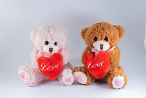 Valentines Day Teddy Bear