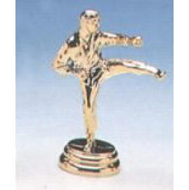 Karate for trophy