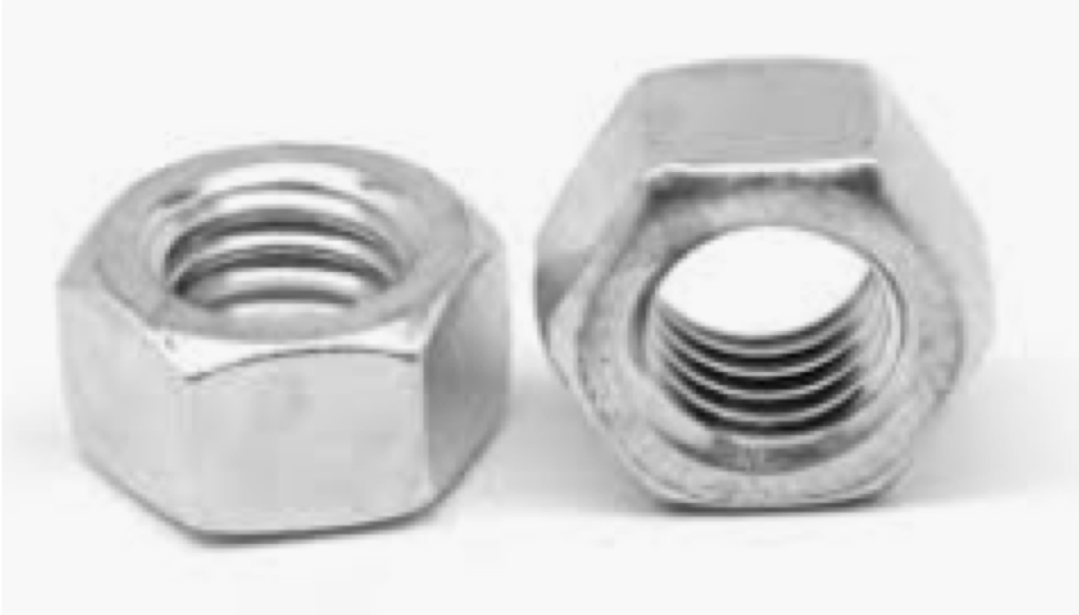 Stainless Steel Hex Socket Head Nut
