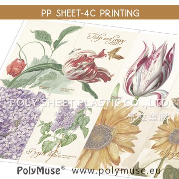 Polymuse Full Color Printing Pp Thin Hard Plastic Sheets For Note