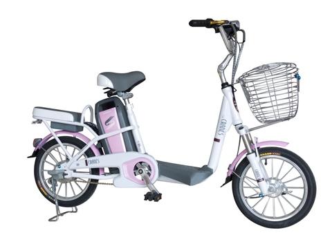 electric bicycle/electric scooter