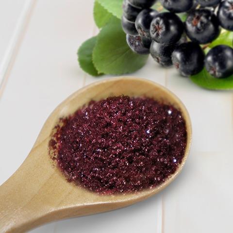 SOD-Likeアロニア発酵濃縮粉末