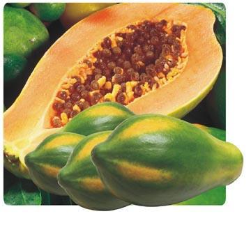 papaya