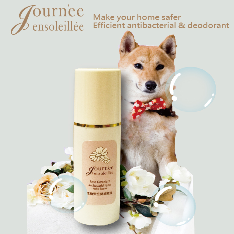 Can You Use Herbal Essence On Dogs