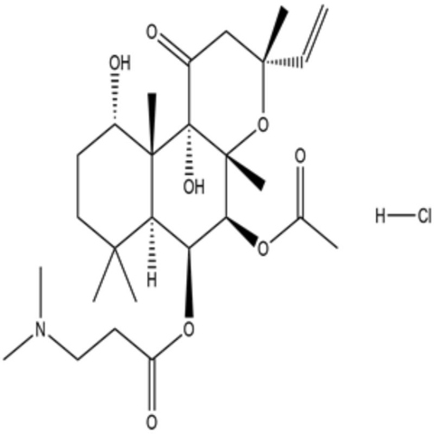 NKH 477