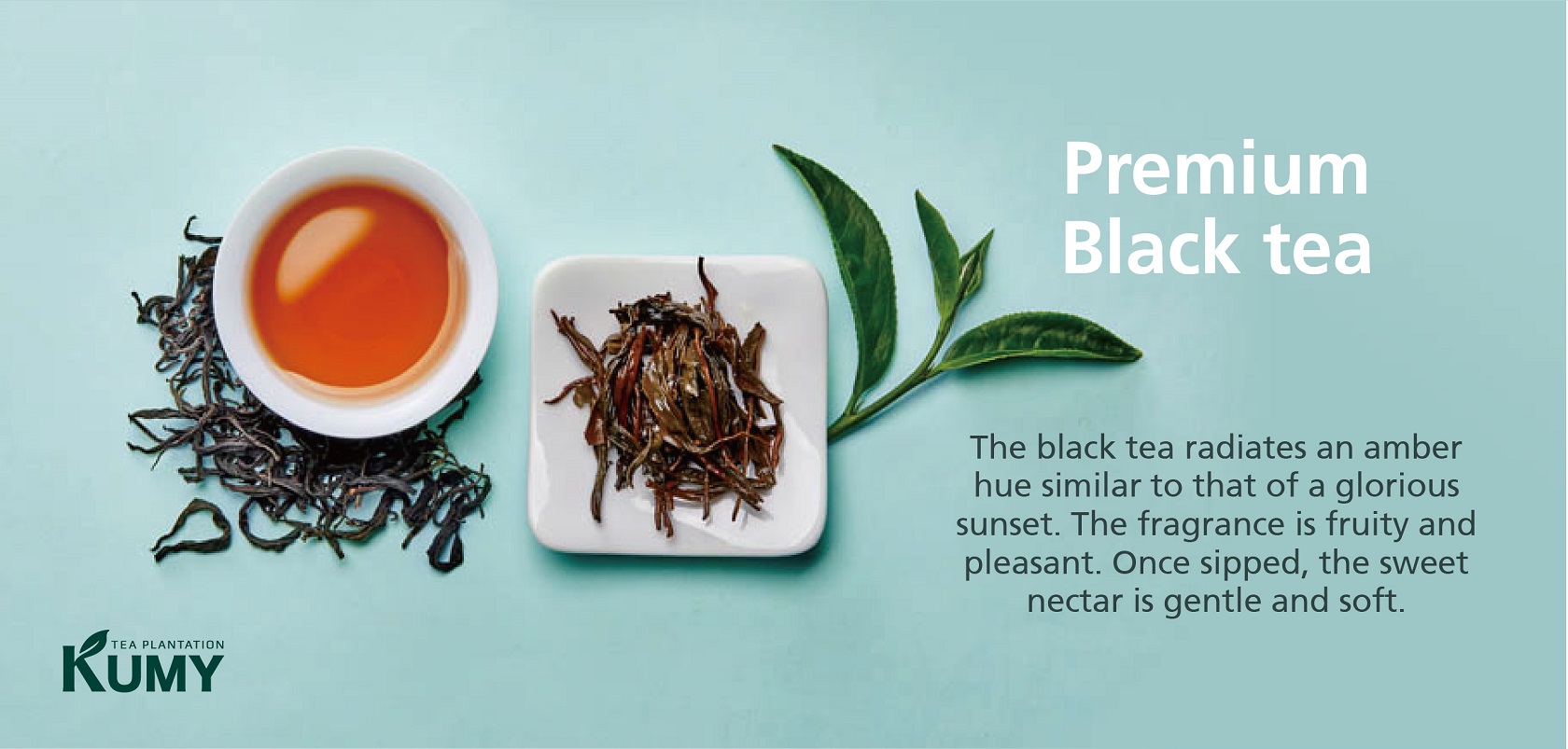 kumy-tea-black-forest-premium-black-tea-171-slamaw-international