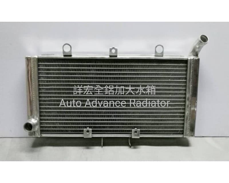 Performance Radiator for HONDA CB1300 | Taiwantrade
