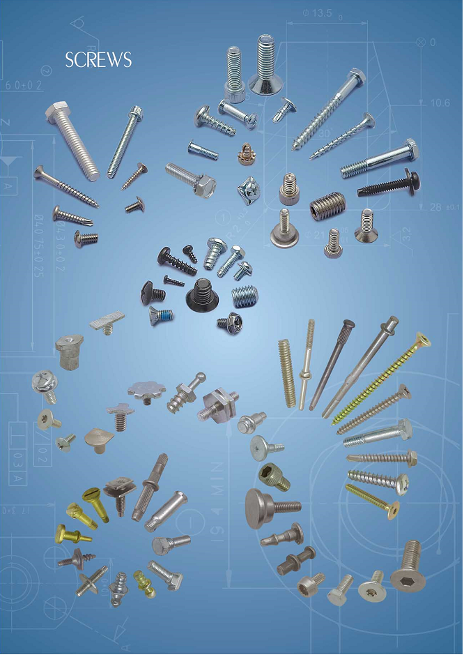International Standard Tapping screws