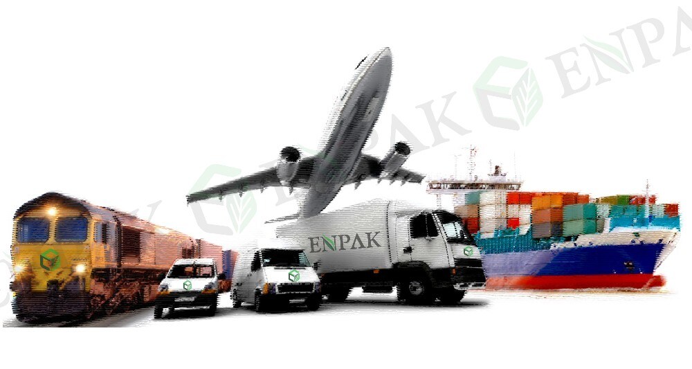 Durable PET plastic take away Japanese sushi box/sushi tray/food tray