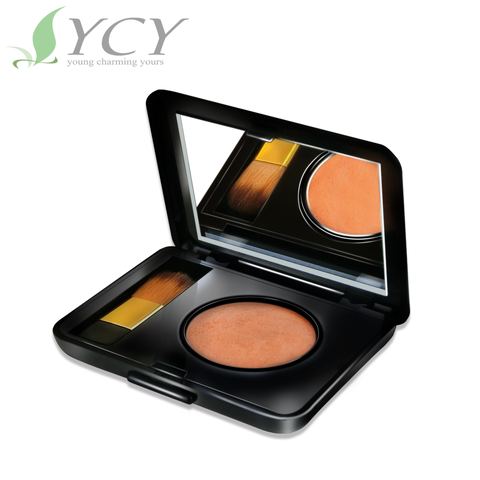 Face makeup bronzer shimmer highlight powder blush