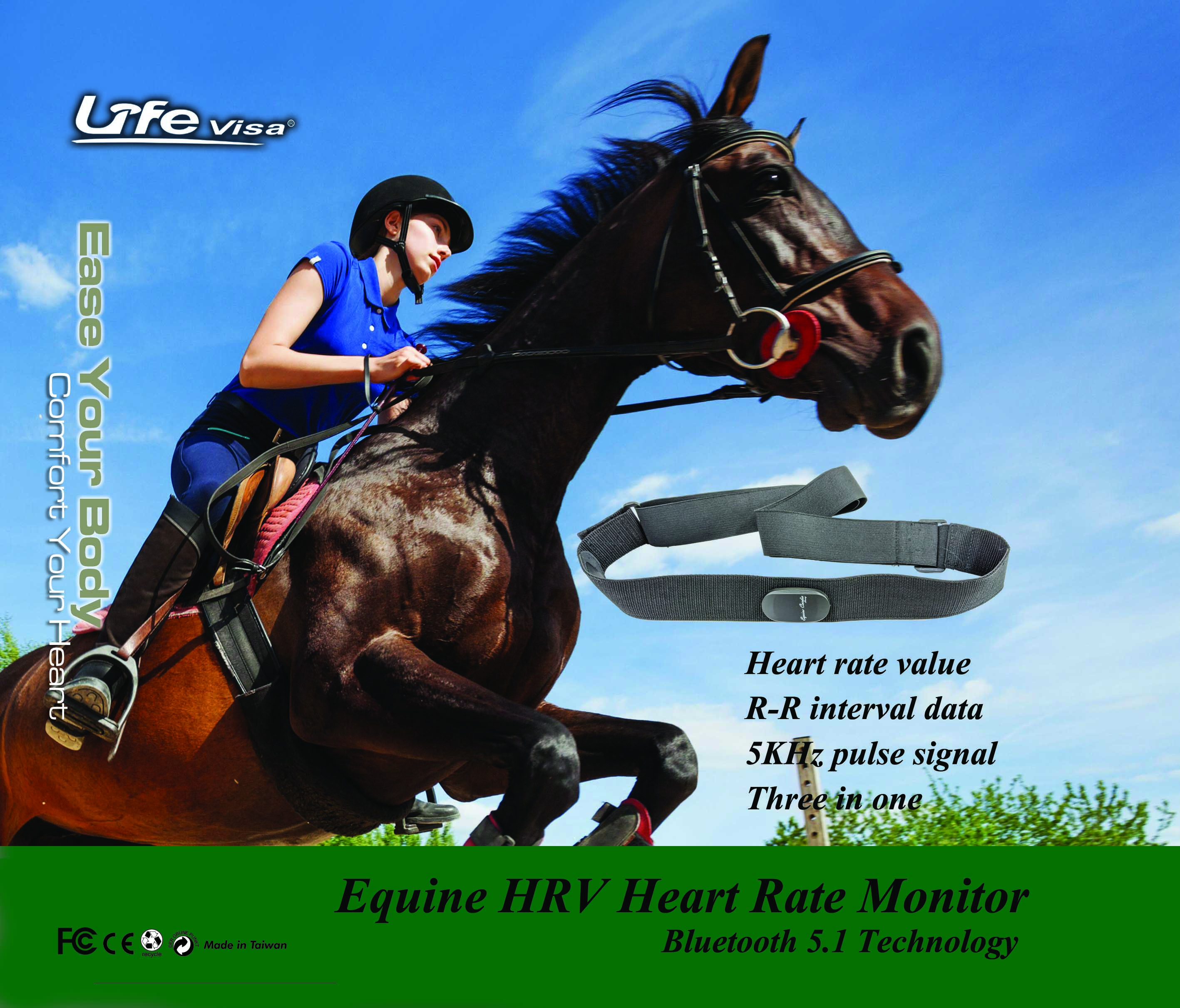 Equine heart rate monitor