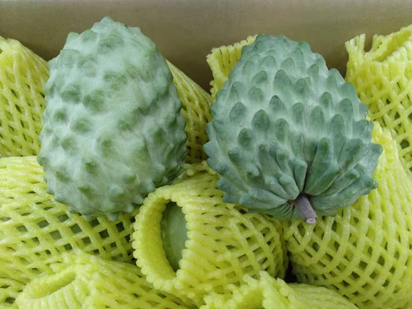 Custard apple
