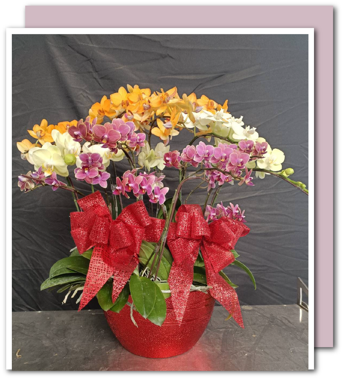 Colorful phalaenopsis orchid arrangement with red decorative bows in a metallic red ABS floral bowl – durable, lightweight, decorative plastic container for weddings, retail displays, and home décor.