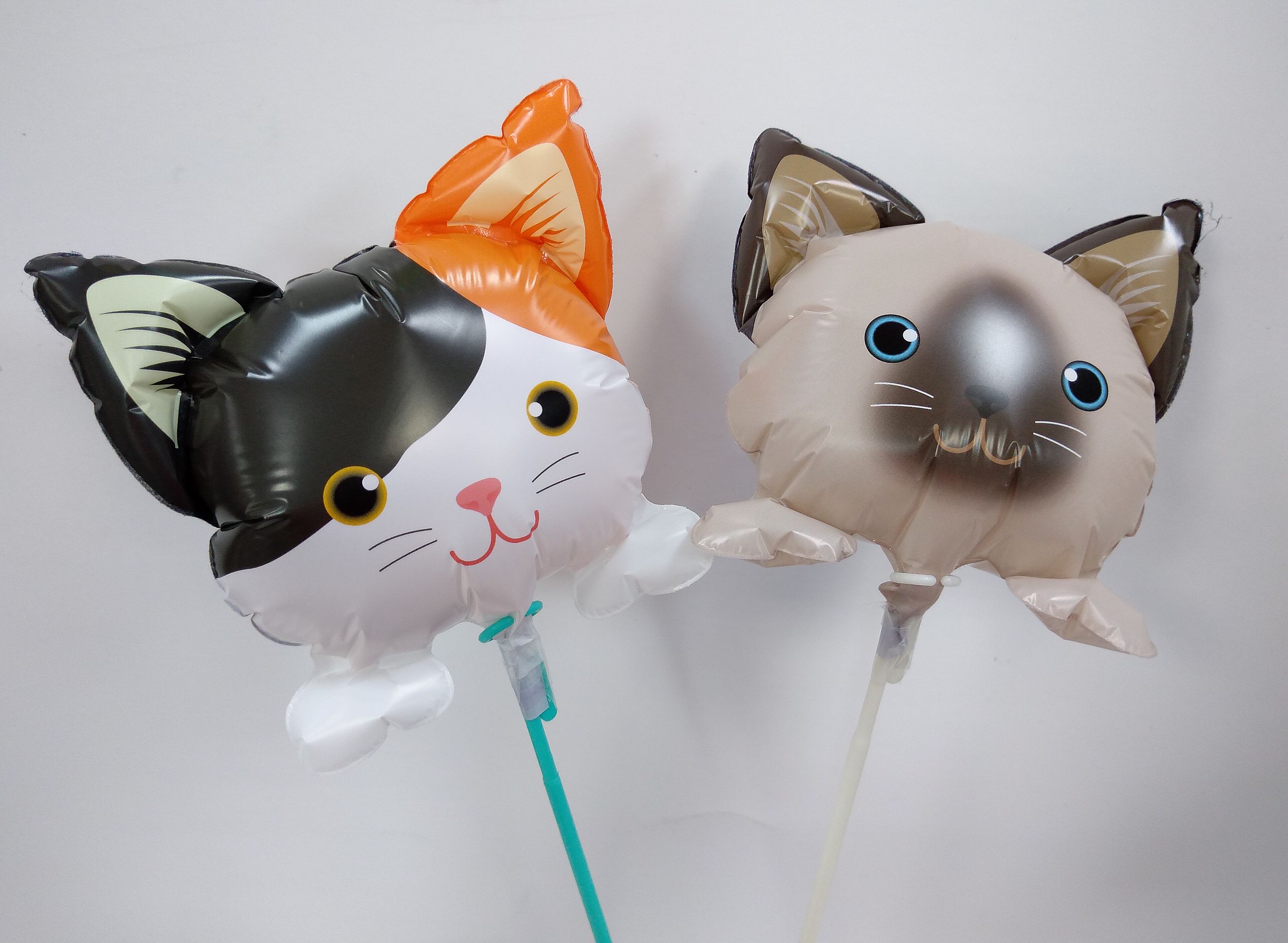 Pet balloon cat balloon DIY balloon fun bouquet